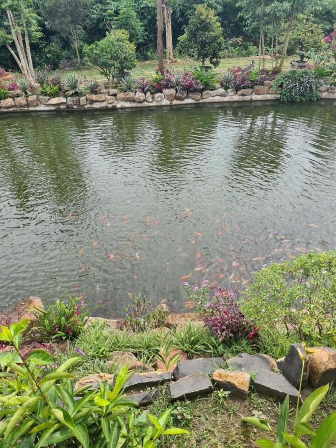 Suối Rao Valley Bà Rịa Ngoại thất bức ảnh
